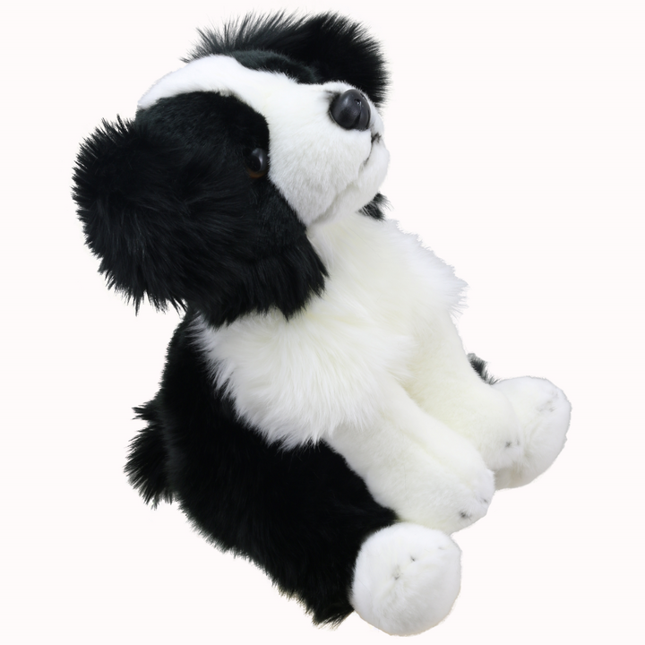 Wilberry Favourites - Border Collie Dog