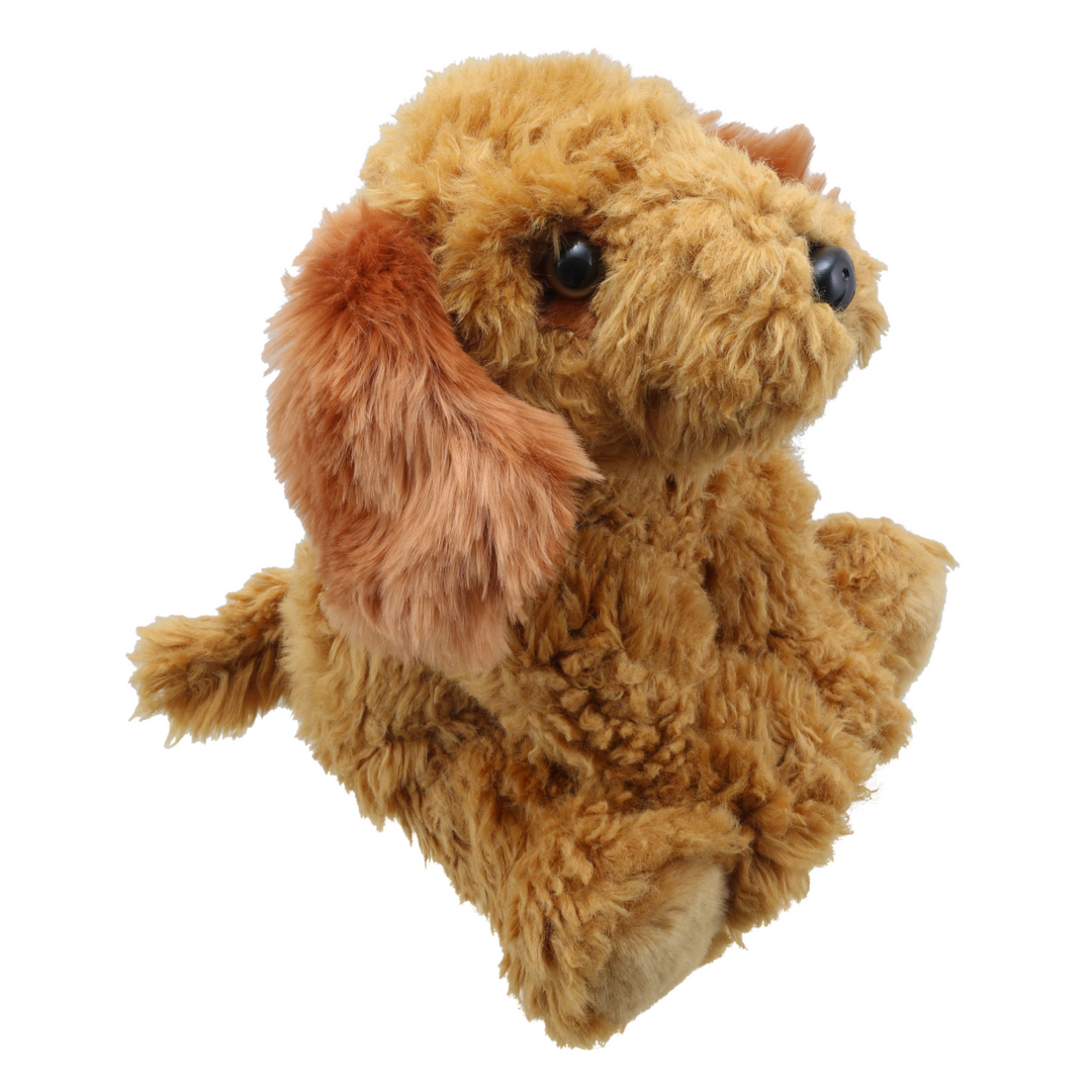 Wilberry Favourites - Cockapoo Dog (Golden)
