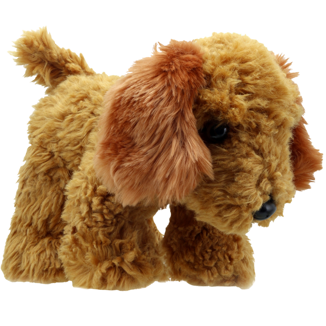Wilberry Favourites - Cockapoo Dog (Golden)