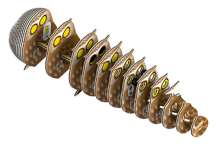 Eugy Owl 3D Cardboard Model Kit