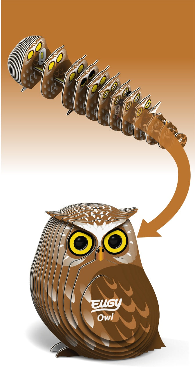 Eugy Owl 3D Cardboard Model Kit
