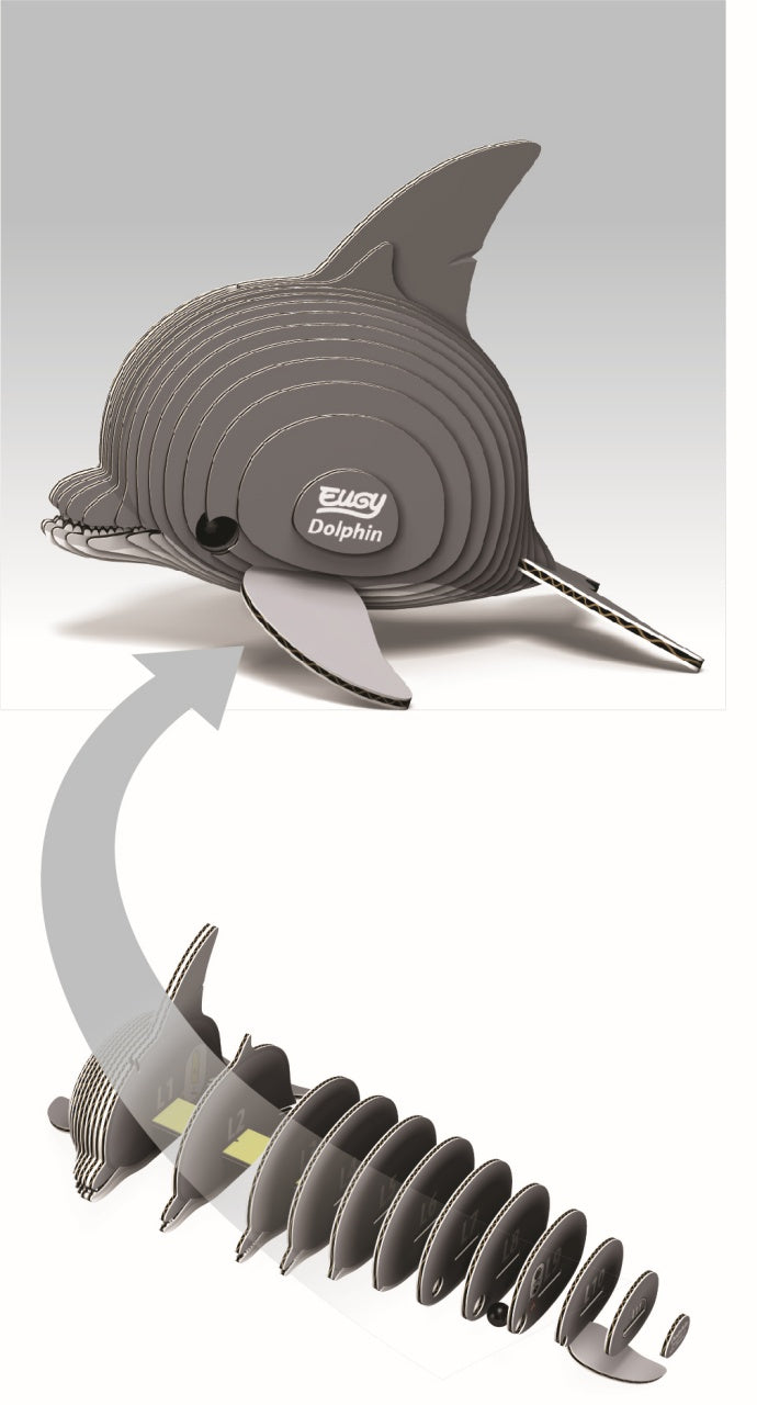Eugy Dolphin 3D Cardboard Model Kit