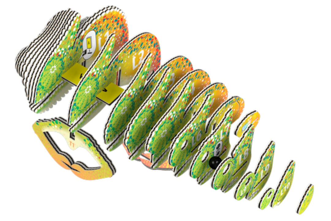Eugy Chameleon 3D Cardboard Model Kit