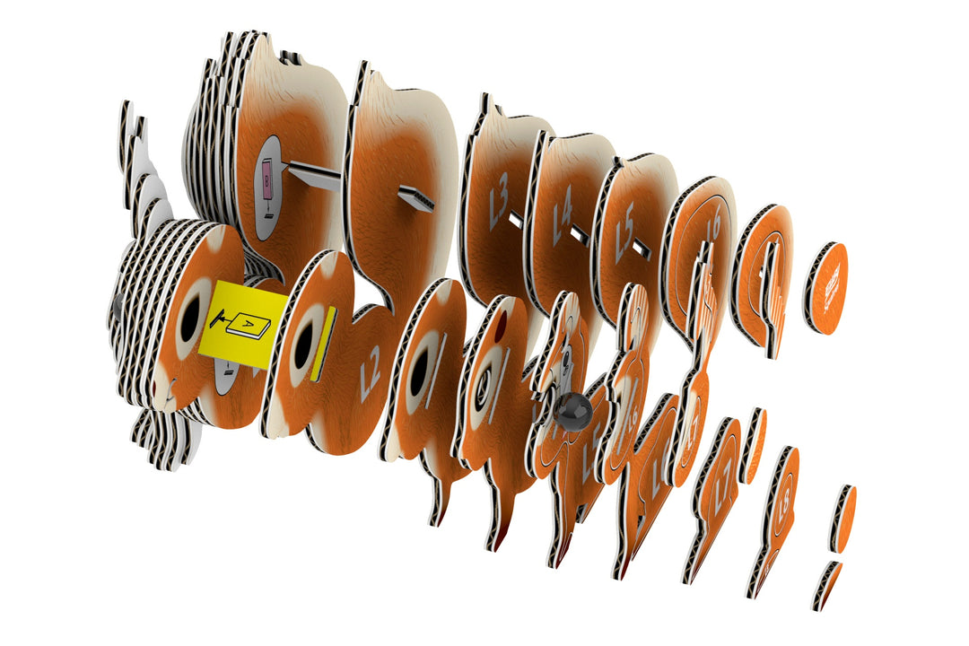 Eugy Squirrel 3D Cardboard Model Kit