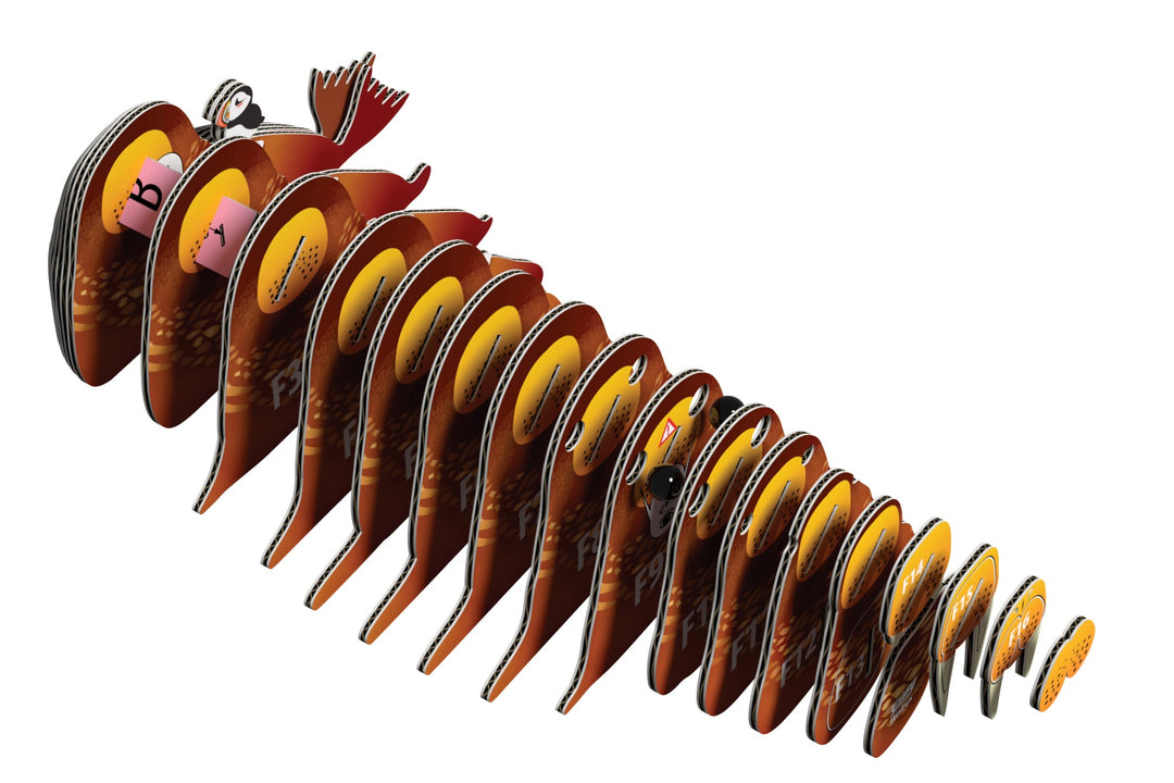Eugy Walrus 3D Cardboard Model Kit