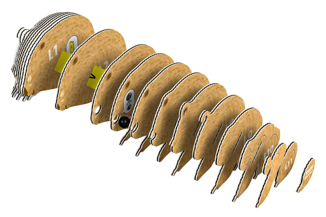 Eugy Wombat 3D Cardboard Model Kit