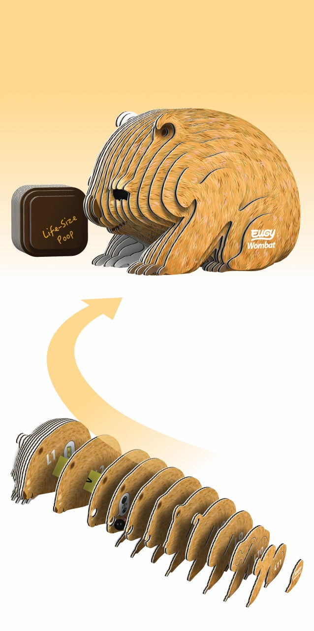 Eugy Wombat 3D Cardboard Model Kit