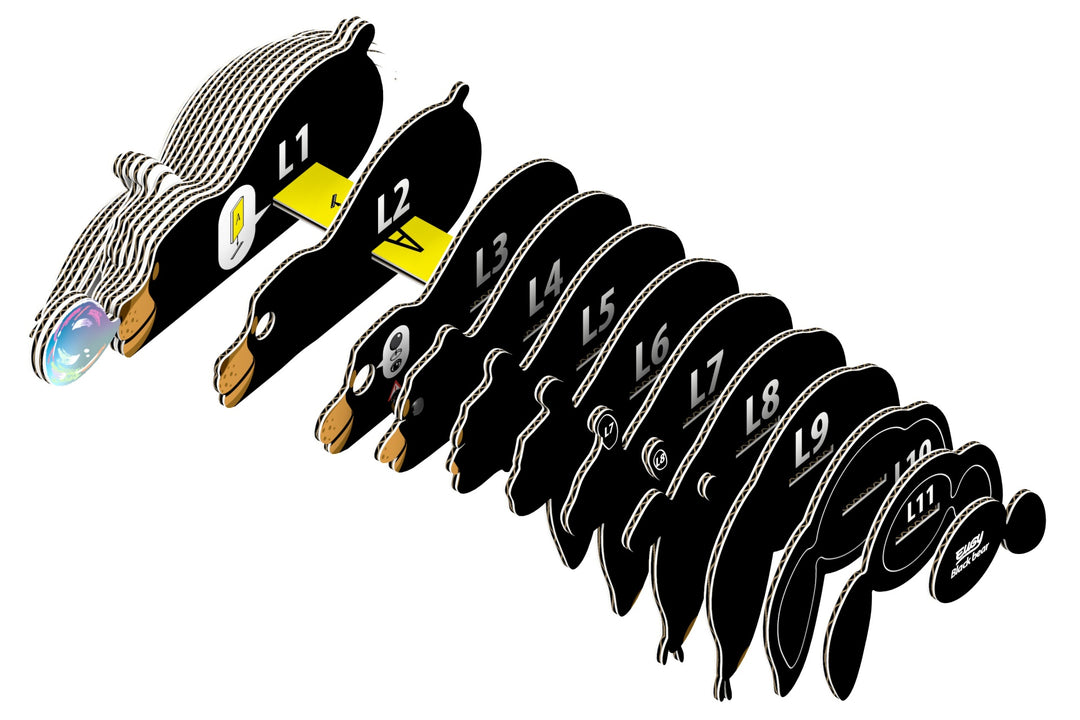 Eugy Black Bear 3D Cardboard Model Kit