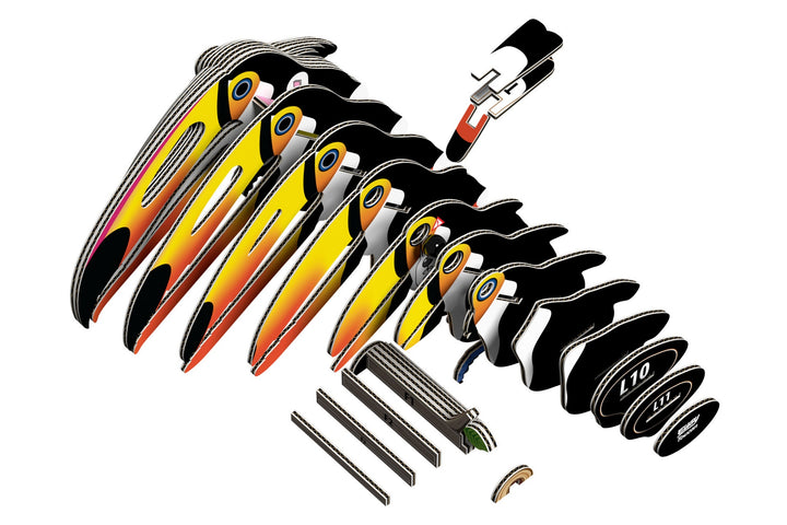 Eugy Toucan 3D Cardboard Model Kit