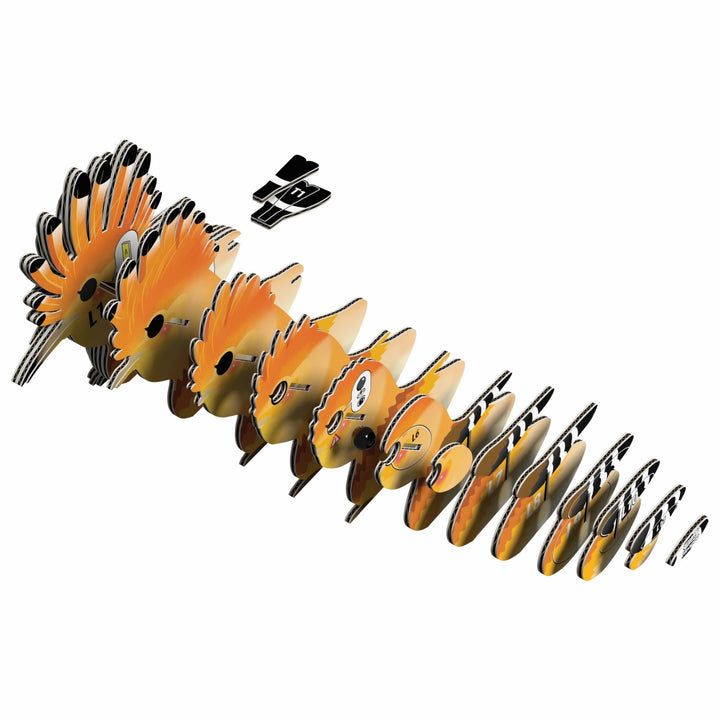 Eugy Hoopoe 3D Cardboard Model Kit