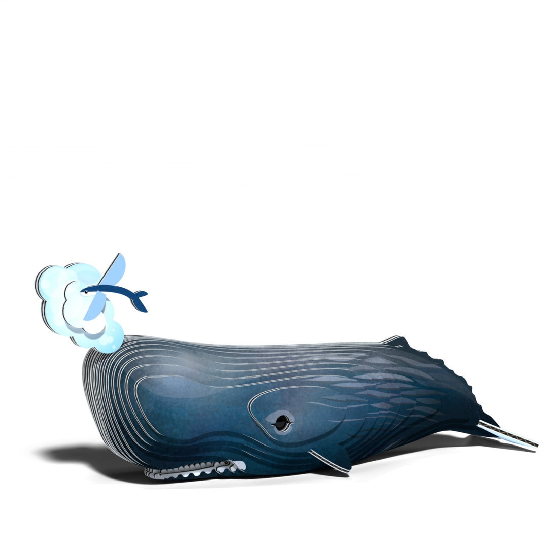 Eugy Sperm Whale 3D Cardboard Model Kit