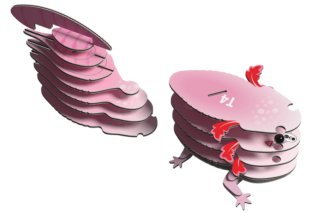 Eugy Axolotyl 3D Cardboard Model Kit