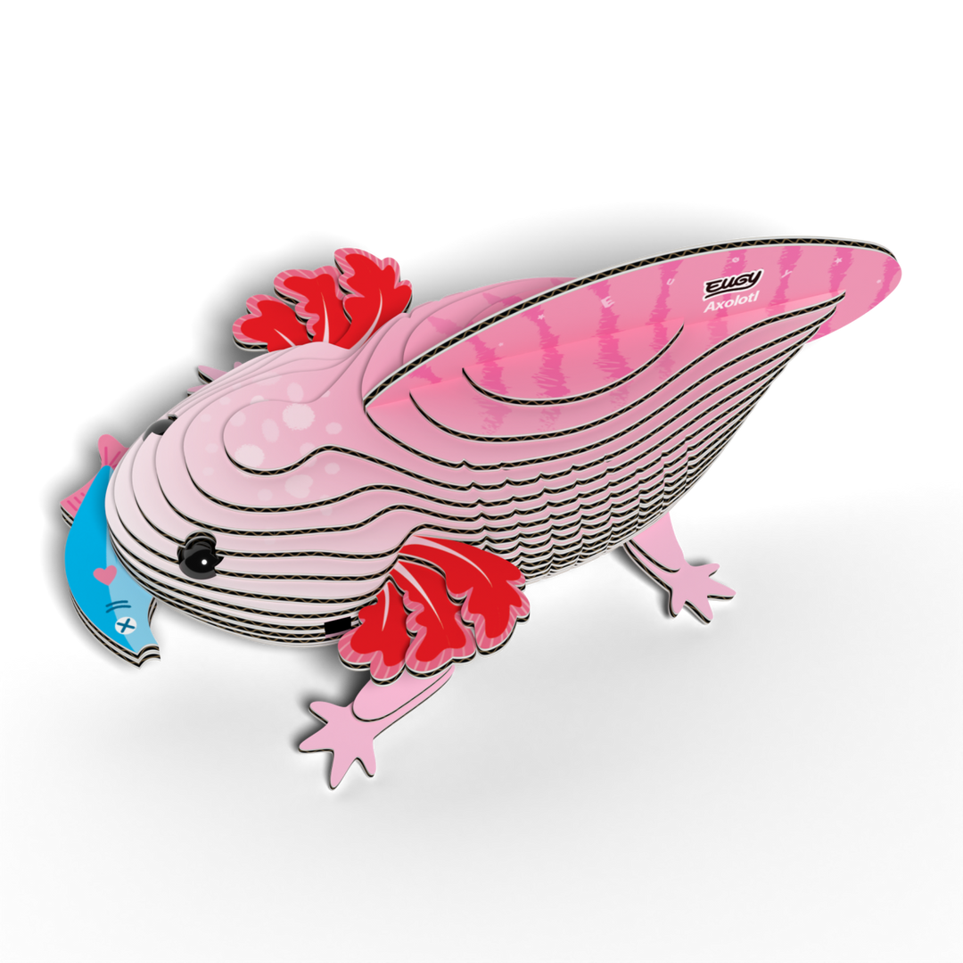 Eugy Axolotyl 3D Cardboard Model Kit
