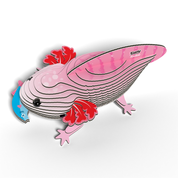 Eugy Axolotyl 3D Cardboard Model Kit