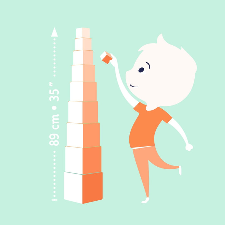 Cubes - Wild Animals
