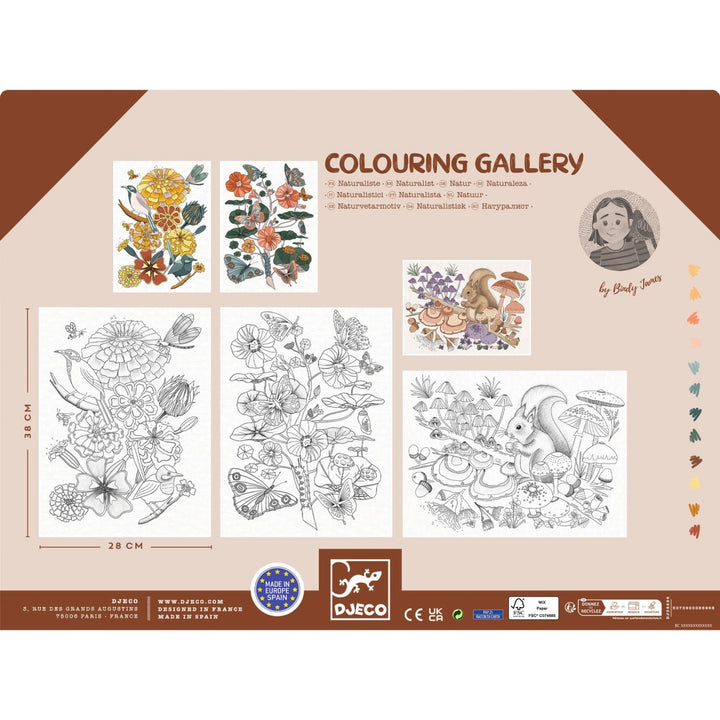 Djeco Colouring Gallery - Naturalist