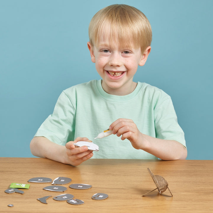 Eugy Dolphin 3D Cardboard Model Kit