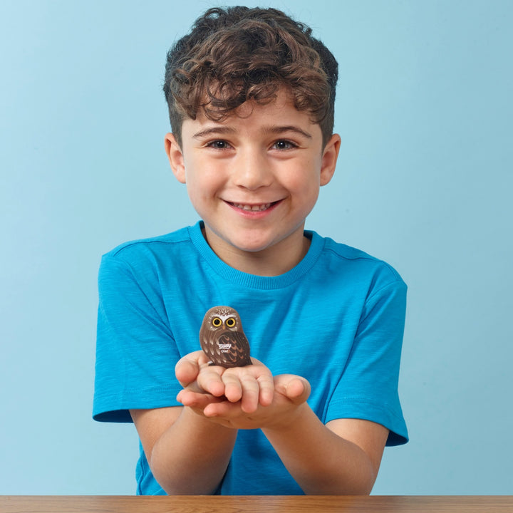 Eugy Owl 3D Cardboard Model Kit