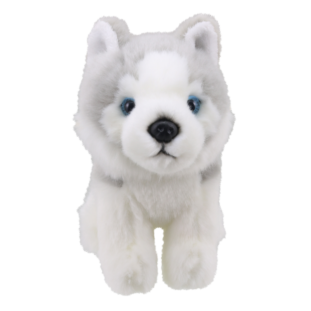 Wilberry Minis - Husky Dog