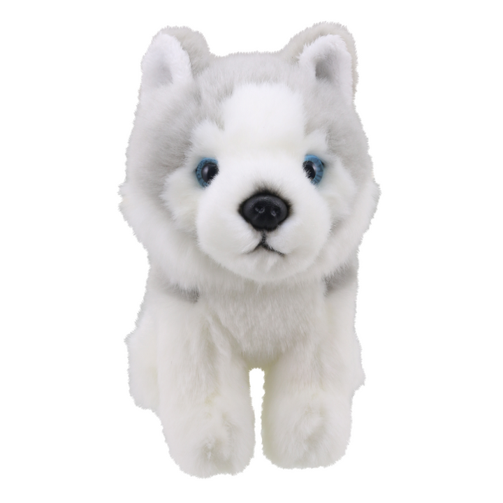 Wilberry Minis - Husky Dog