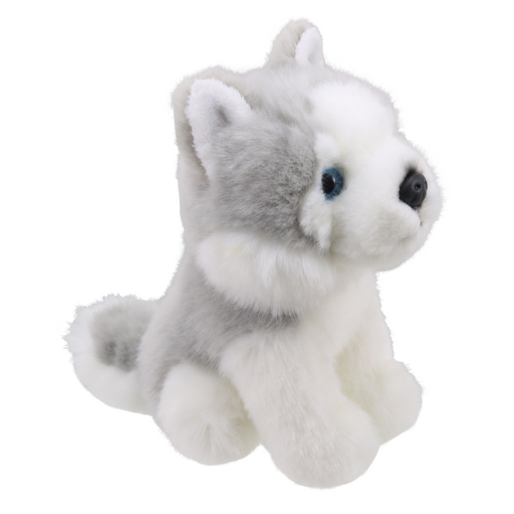 Wilberry Minis - Husky Dog