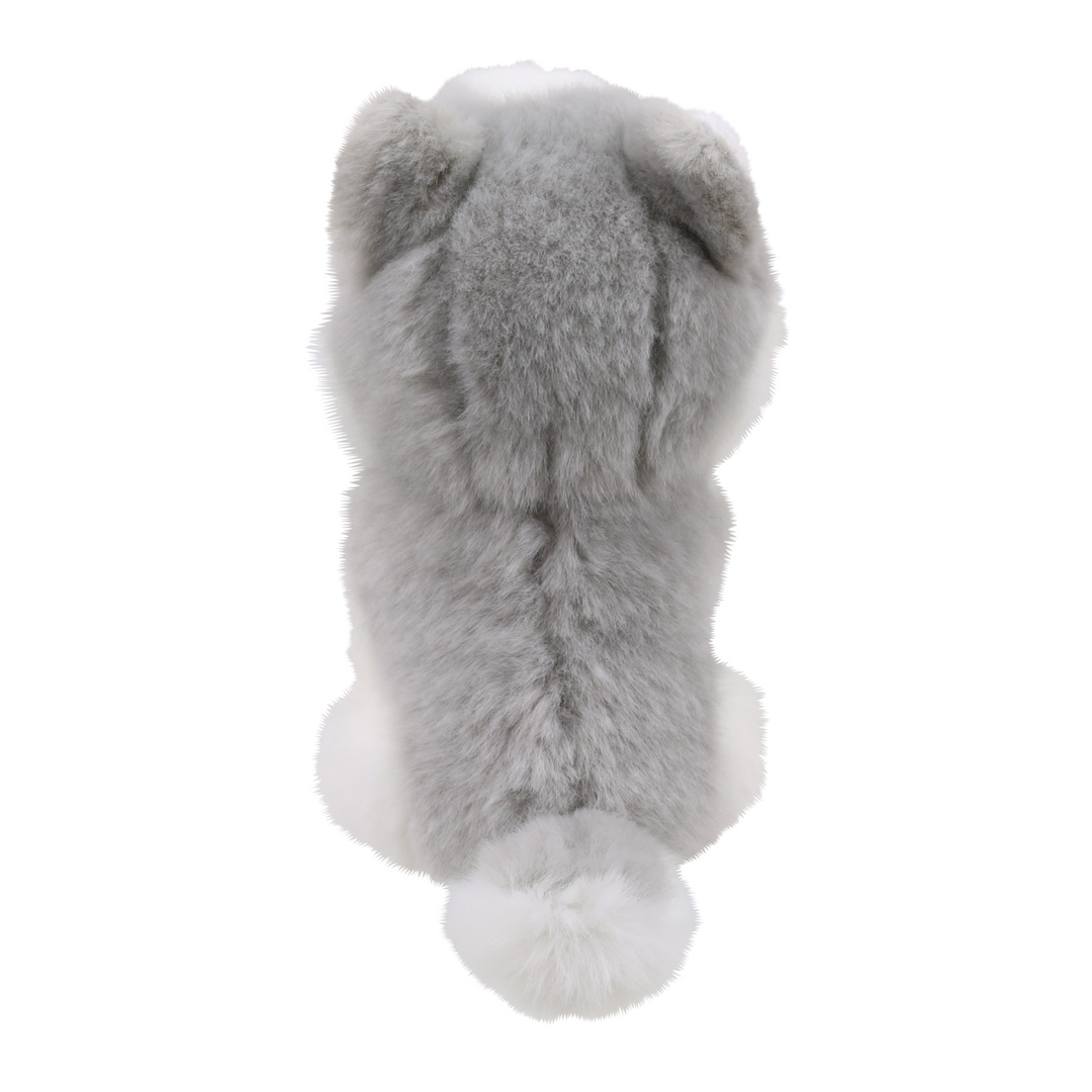 Wilberry Minis - Husky Dog