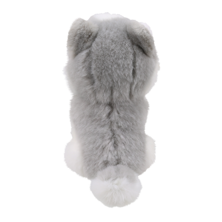 Wilberry Minis - Husky Dog