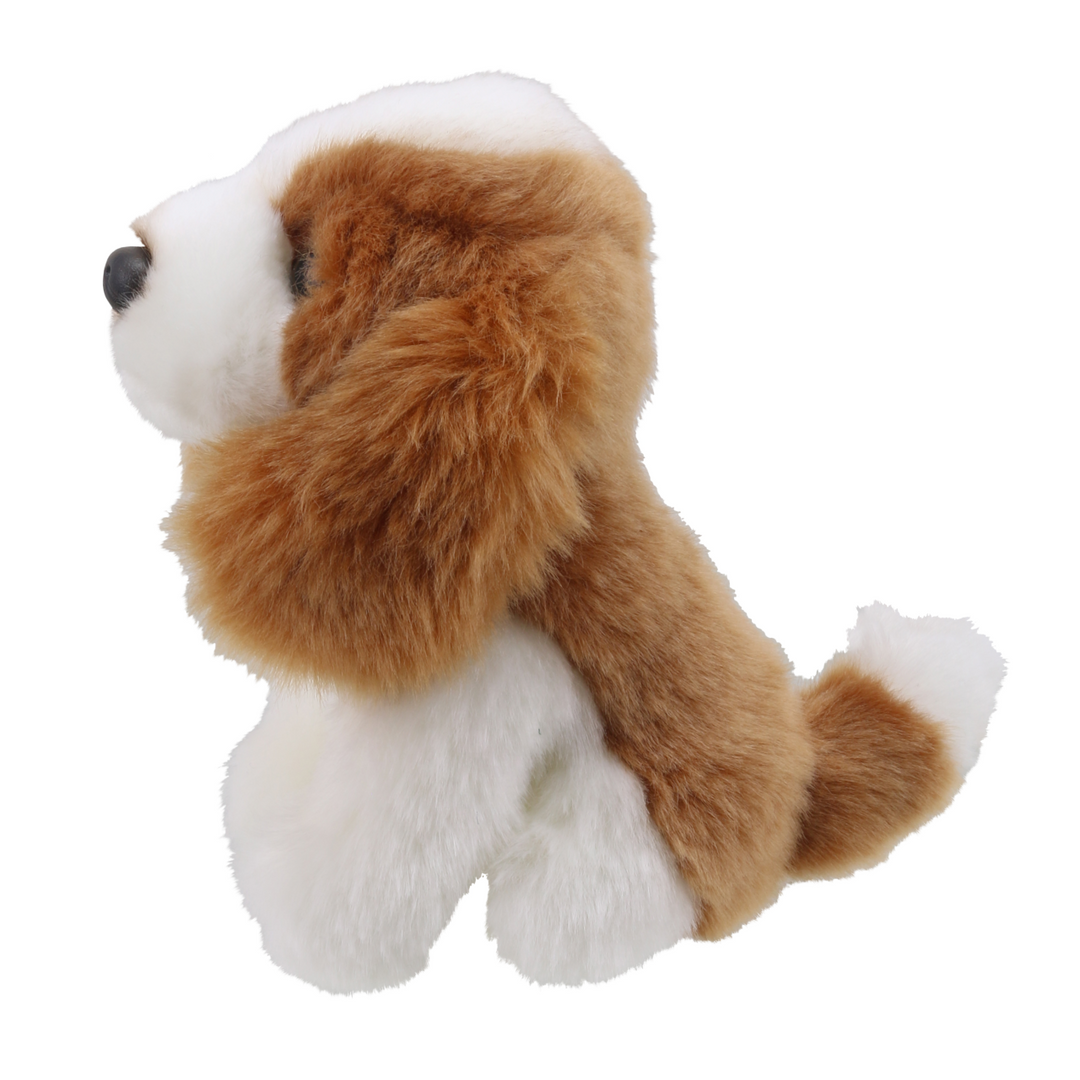 Wilberry Minis - King Charles Spaniel