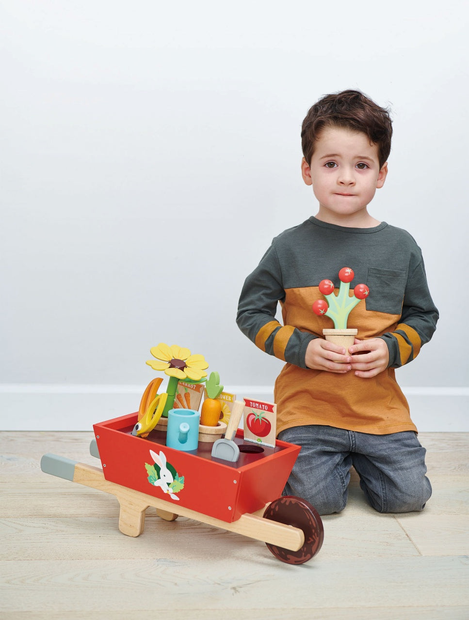Garden Wheelbarrow Set