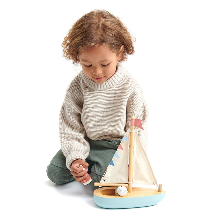 Tender Leaf Sailaway Boat