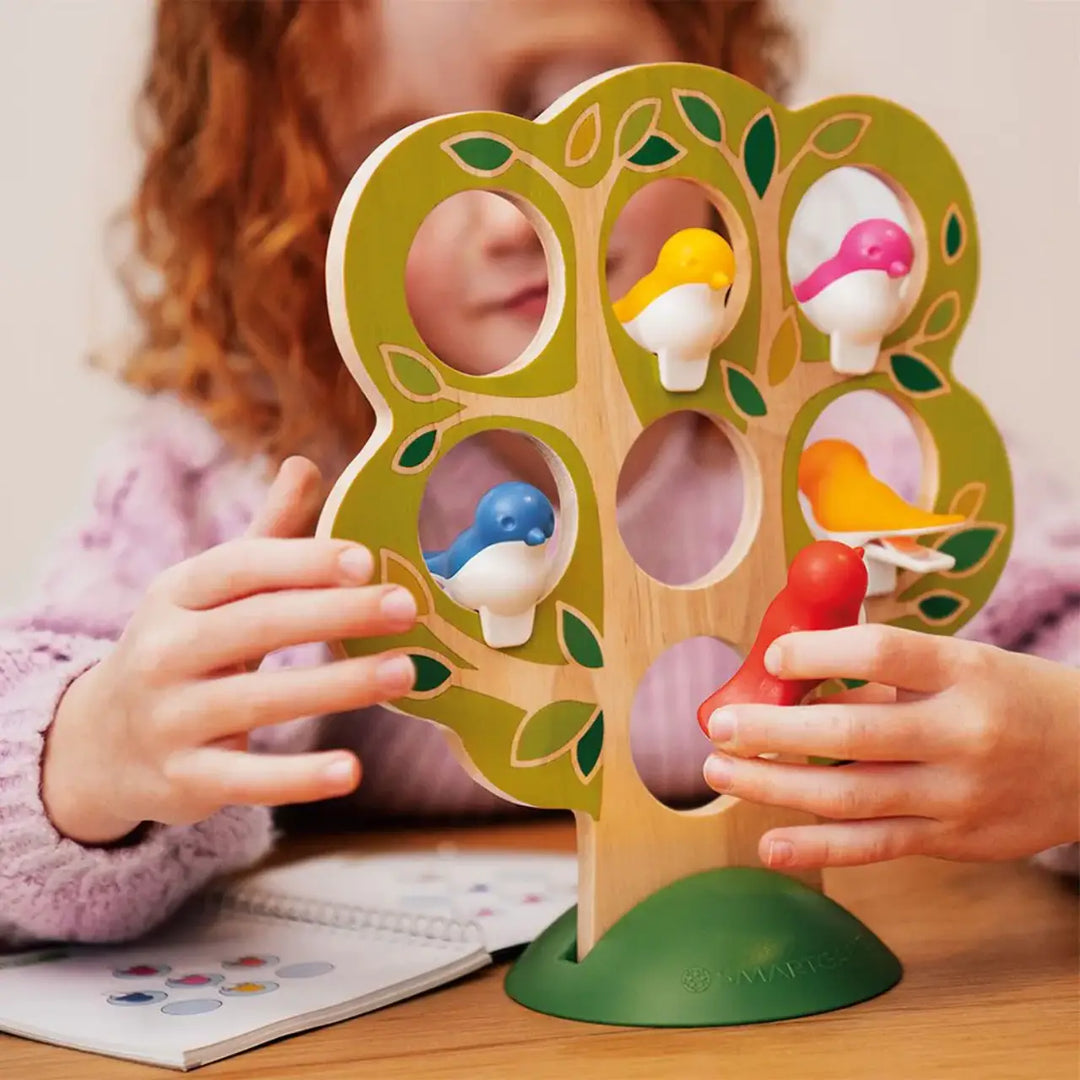 Smart Games Five Little Birds