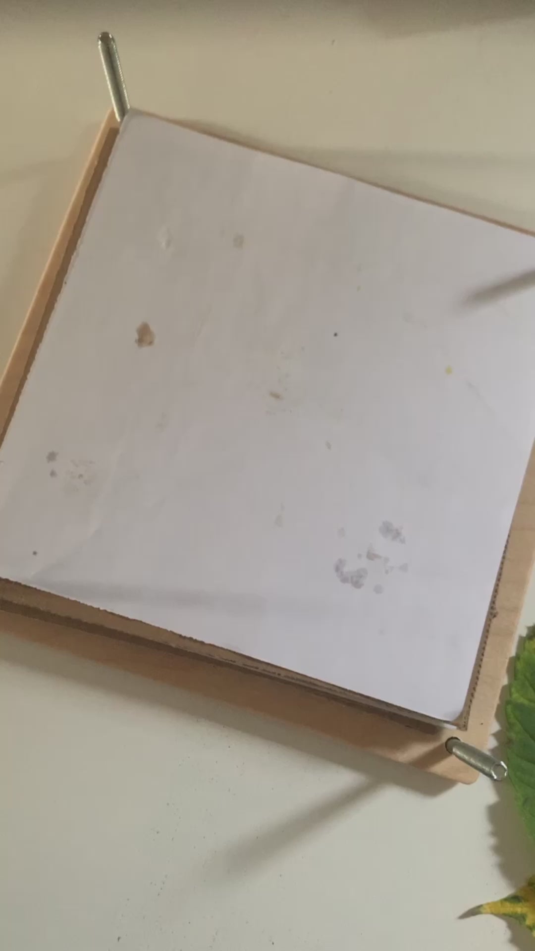 My Botanical Press