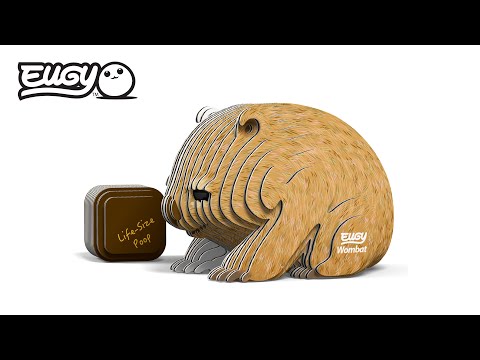 Eugy Wombat 3D Cardboard Model Kit