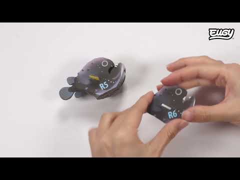 Eugy Anglerfish 3D Cardboard Model Kit